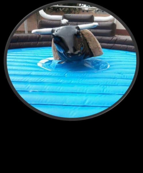 الثور الهائج